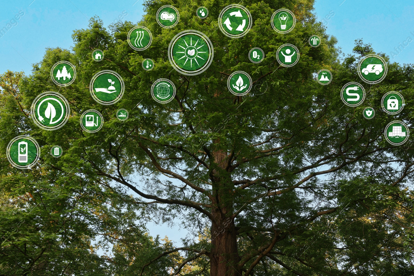 Image of Environmental protection. Many different icons and green tree