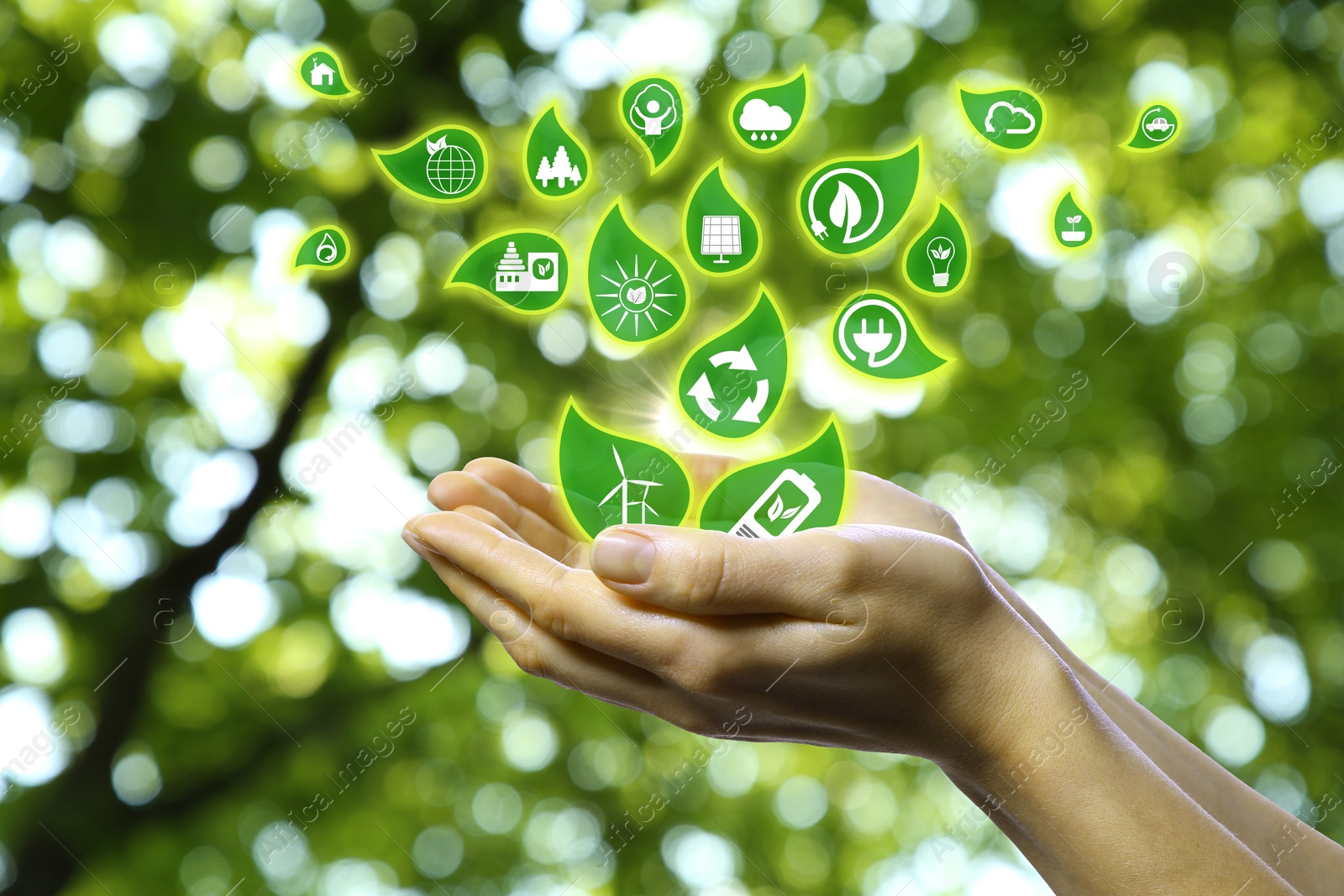 Image of Environmental protection. Leaves with different icons flying away from woman's hands against tree, closeup