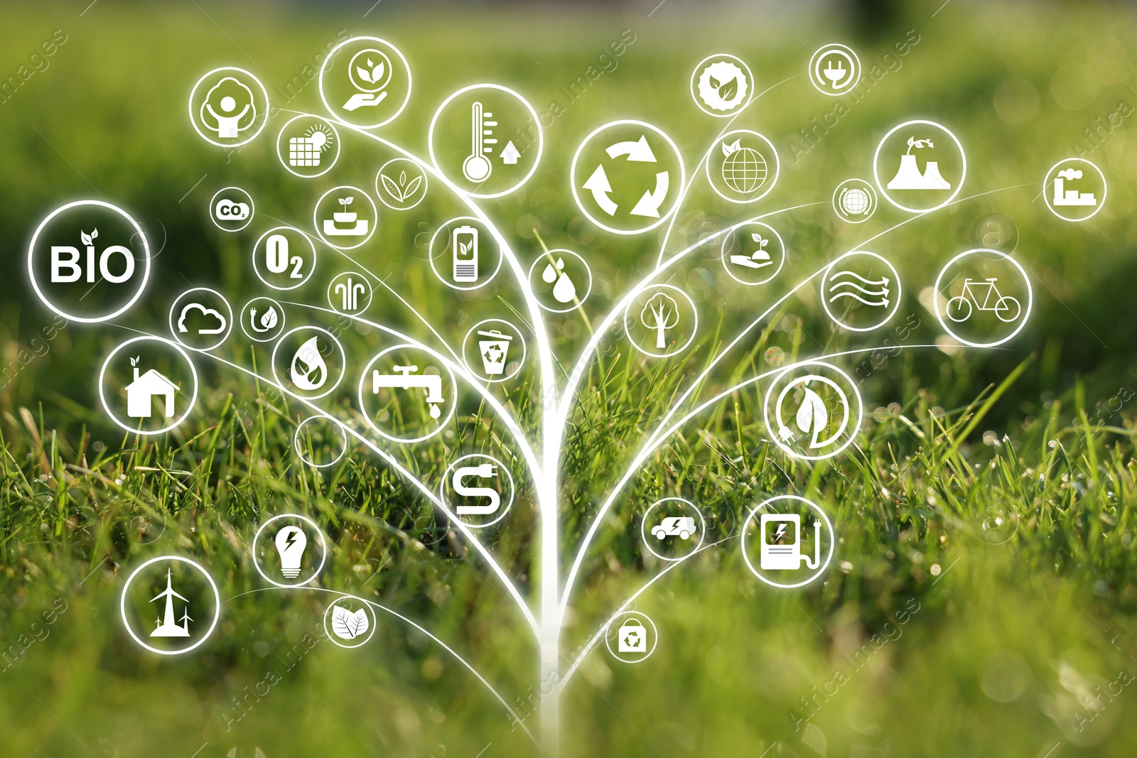 Image of Environmental protection. Digital tree with many different icons and green grass