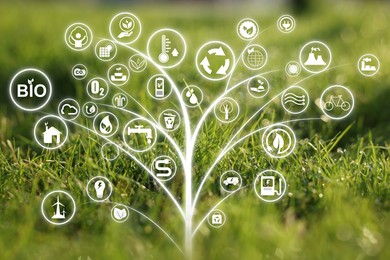 Image of Environmental protection. Digital tree with many different icons and green grass