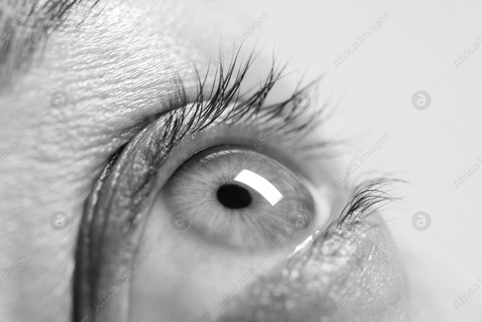 Image of Woman with beautiful eyes, closeup. Black and white effect