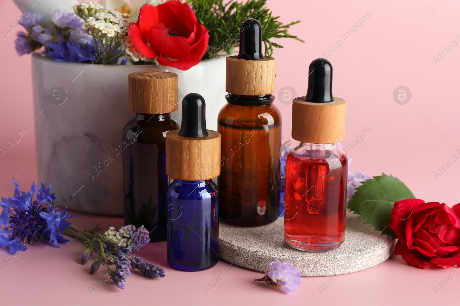 Photo of Aromatherapy. Different essential oils and flowers on pink background