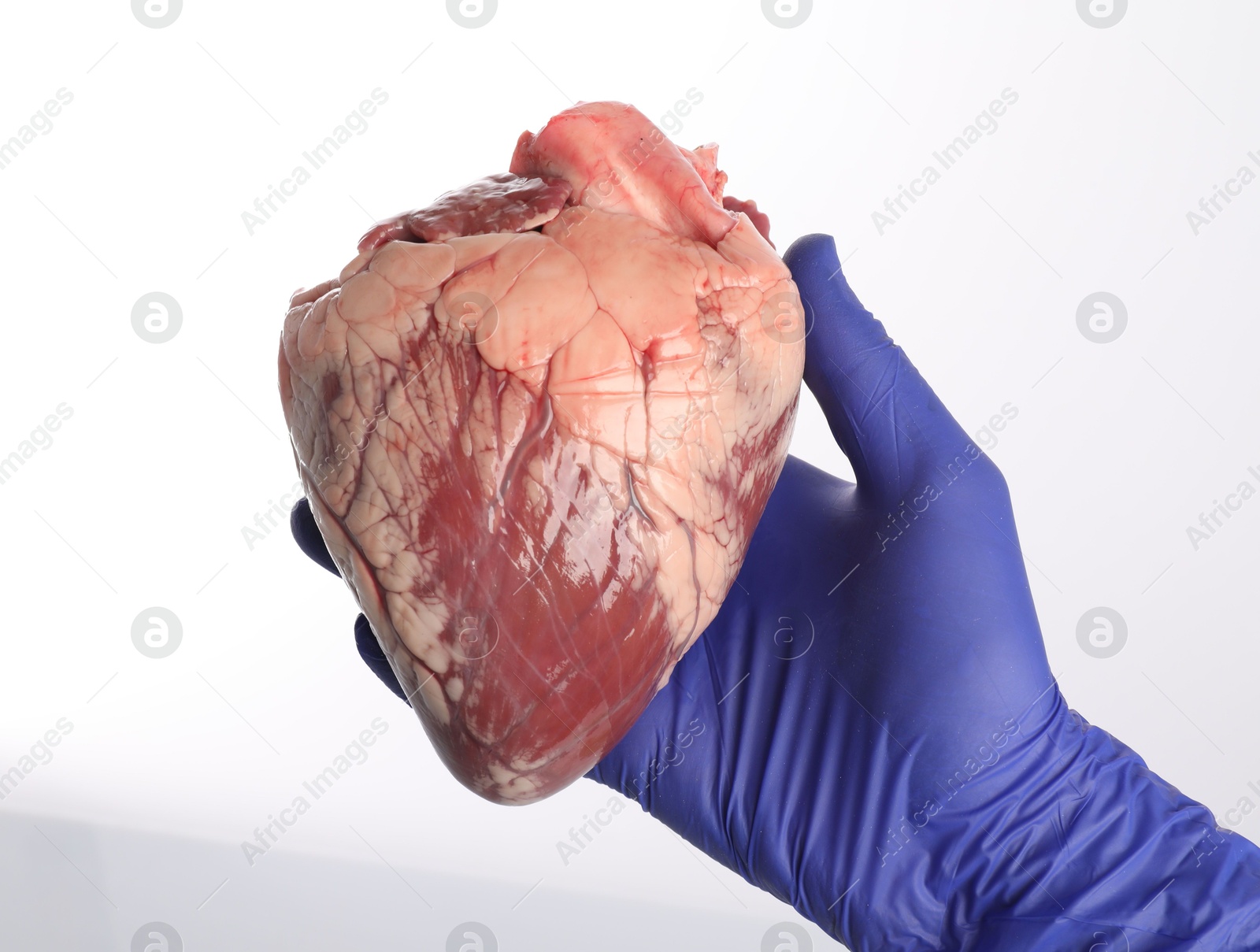 Photo of Doctor with heart on white background, closeup