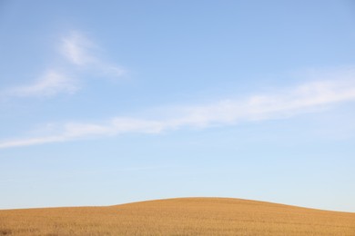 Photo of Beautiful view of agricultural field under blue sky
