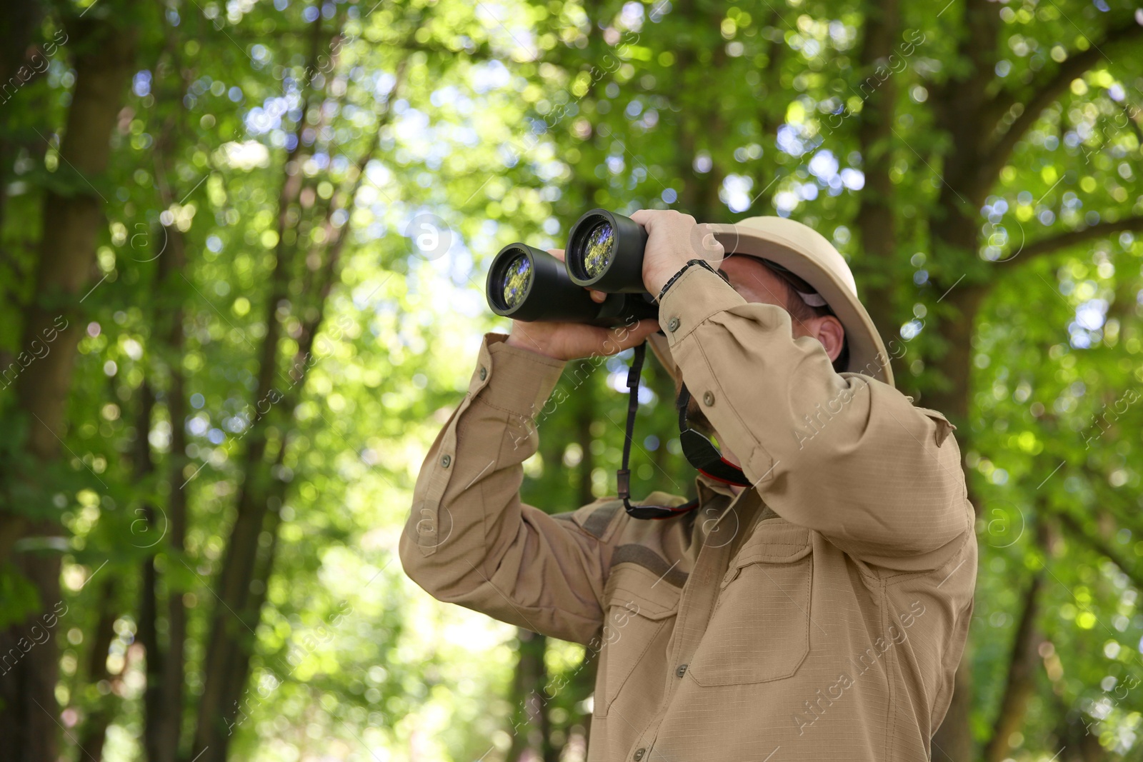 Photo of Forester with binoculars examining plants in forest