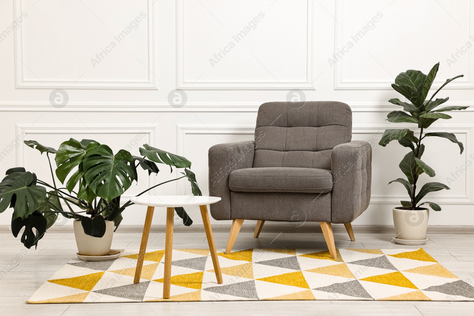 Photo of Soft armchair, coffee table and houseplants in stylish room