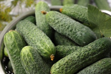 Photo of Fresh green cucumbers in colander on table, closeup