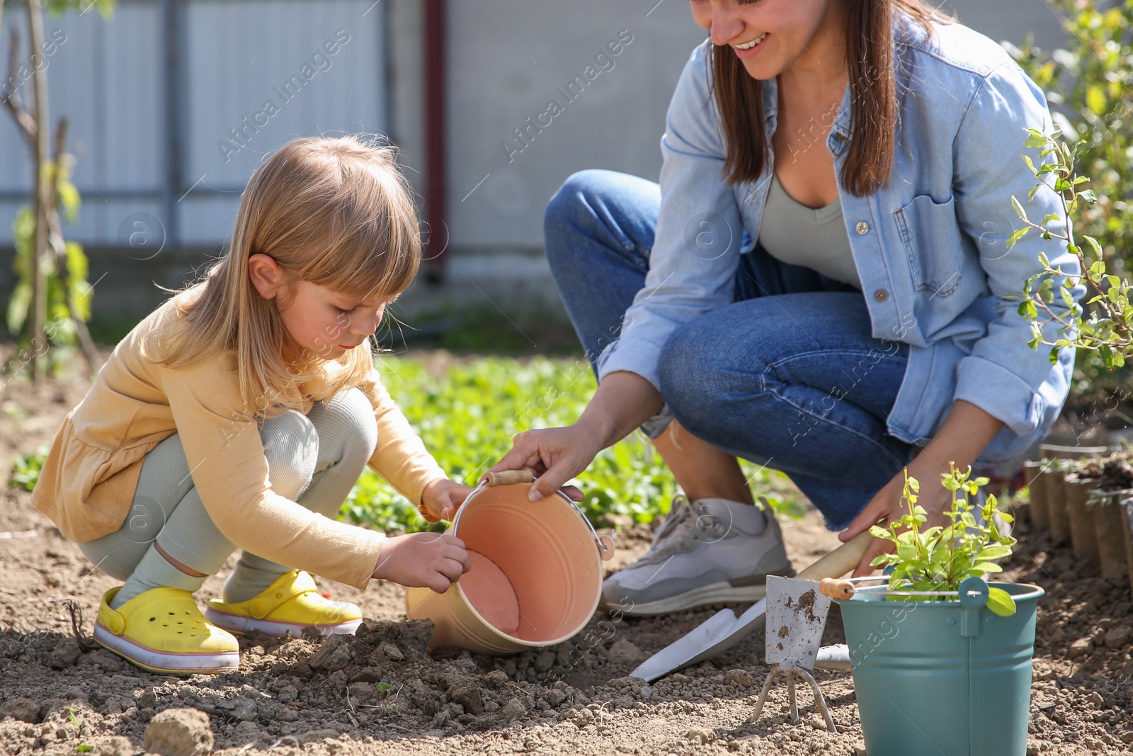 Photo of Mother and her cute daughter planting tree together in garden