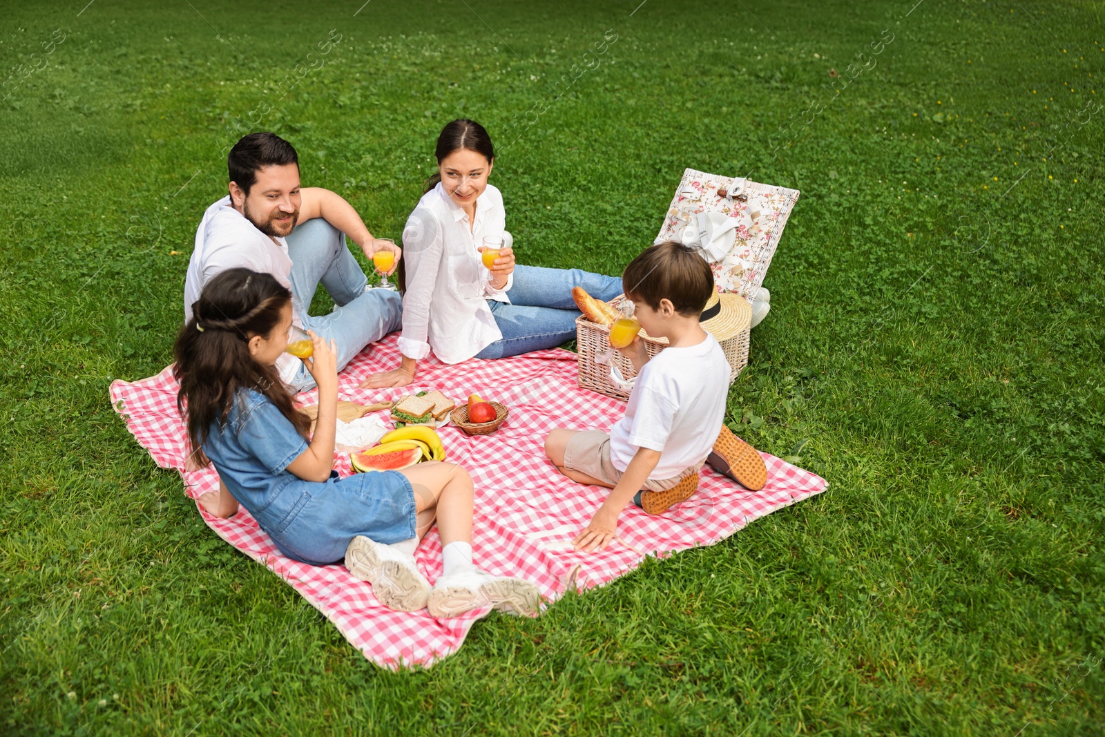 Photo of Family picnic. Happy parents and their children drinking juice on green grass outdoors