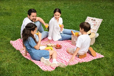 Photo of Family picnic. Happy parents and their children drinking juice on green grass outdoors