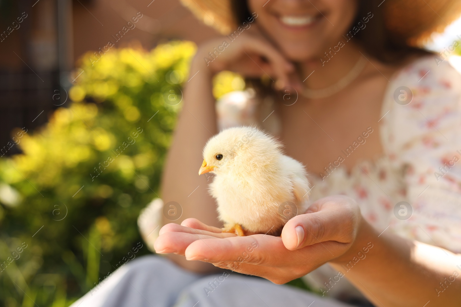 Photo of Woman with cute chick outdoors, selective focus. Baby animal