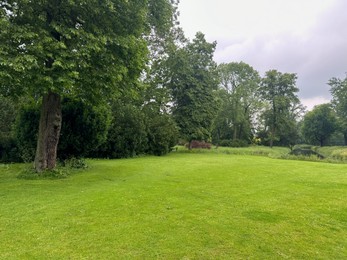 Picturesque view of trees and green grass in park