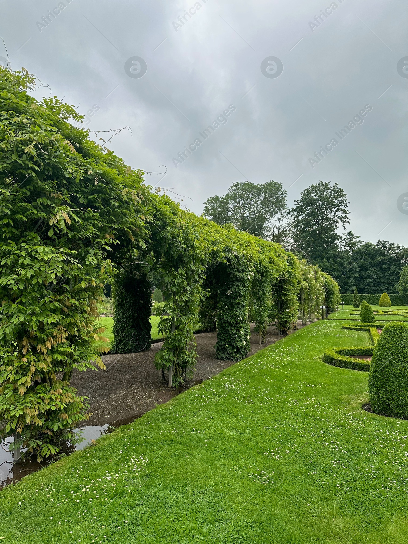 Photo of Tunnel made of plants and pathway in park