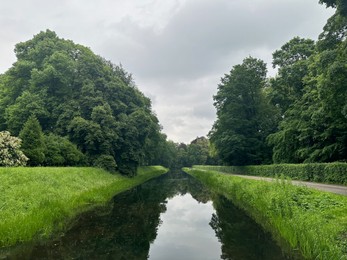 Photo of Picturesque view of trees, river and green grass on spring day