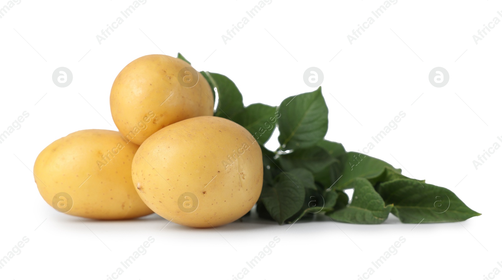 Photo of Fresh raw potatoes and green leaves isolated on white