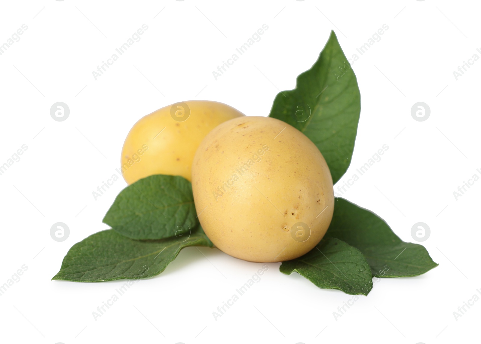 Photo of Fresh raw potatoes and green leaves isolated on white