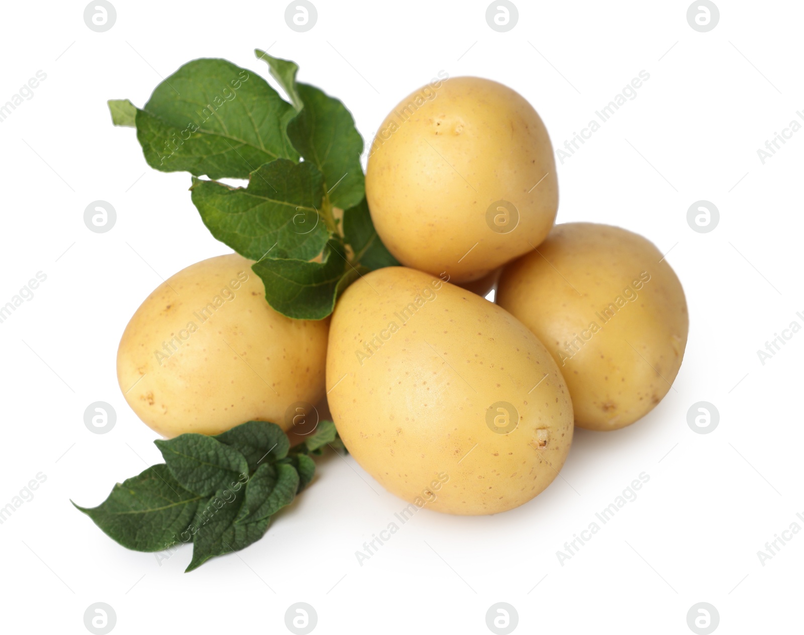 Photo of Fresh raw potatoes and green leaves isolated on white