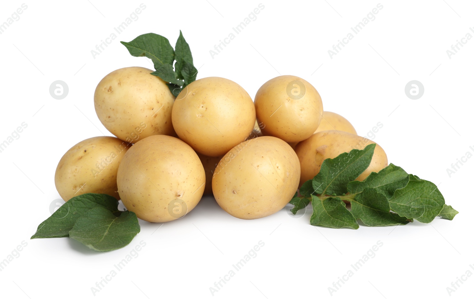 Photo of Fresh raw potatoes and green leaves isolated on white