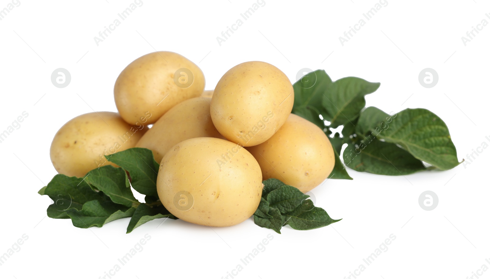 Photo of Fresh raw potatoes and green leaves isolated on white