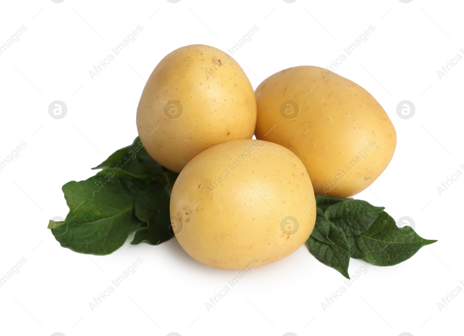 Photo of Fresh raw potatoes and green leaves isolated on white