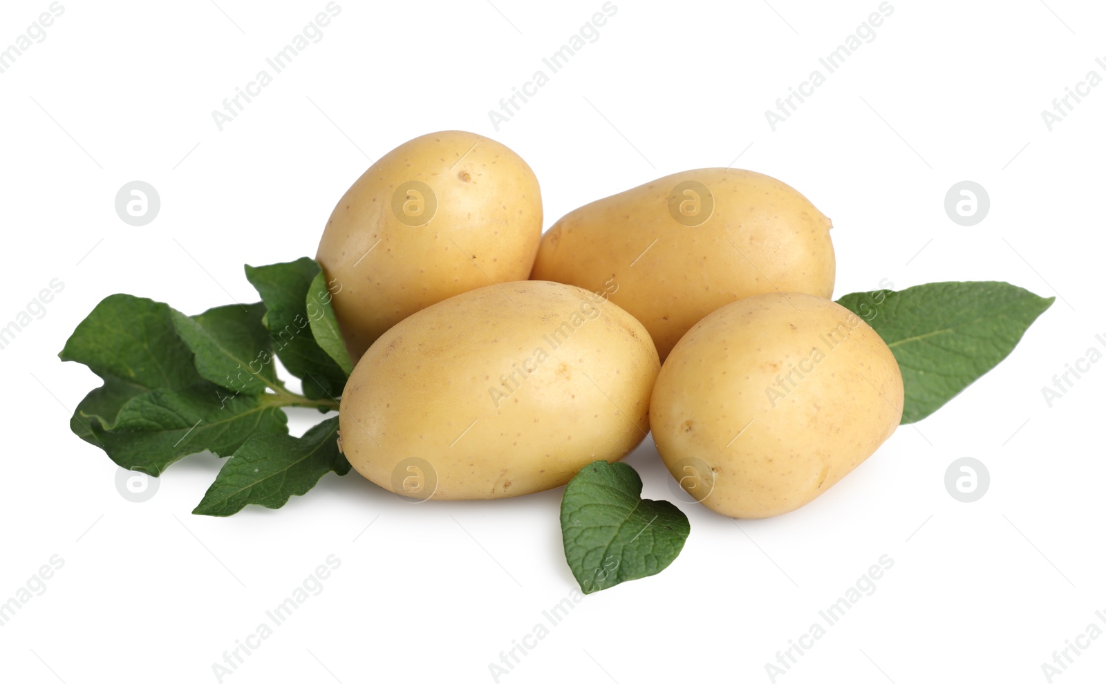 Photo of Fresh raw potatoes and green leaves isolated on white