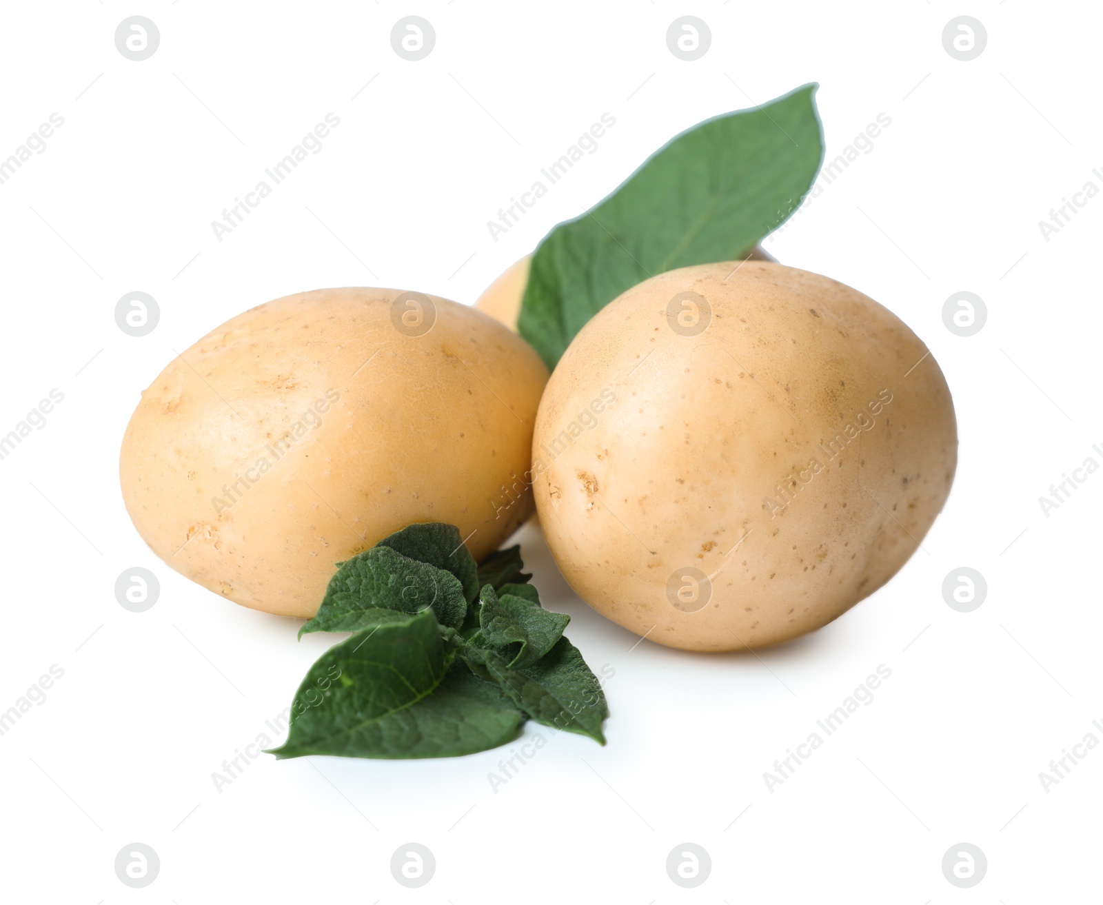 Photo of Fresh raw potatoes and green leaves isolated on white