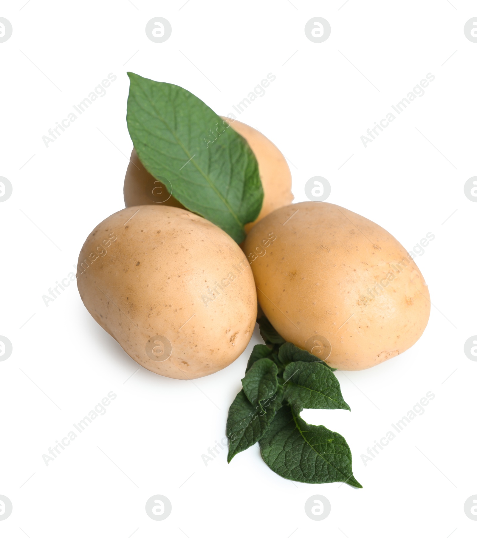 Photo of Fresh raw potatoes and green leaves isolated on white