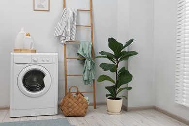 Photo of Washing machine, detergents, houseplant and ladder in laundry room