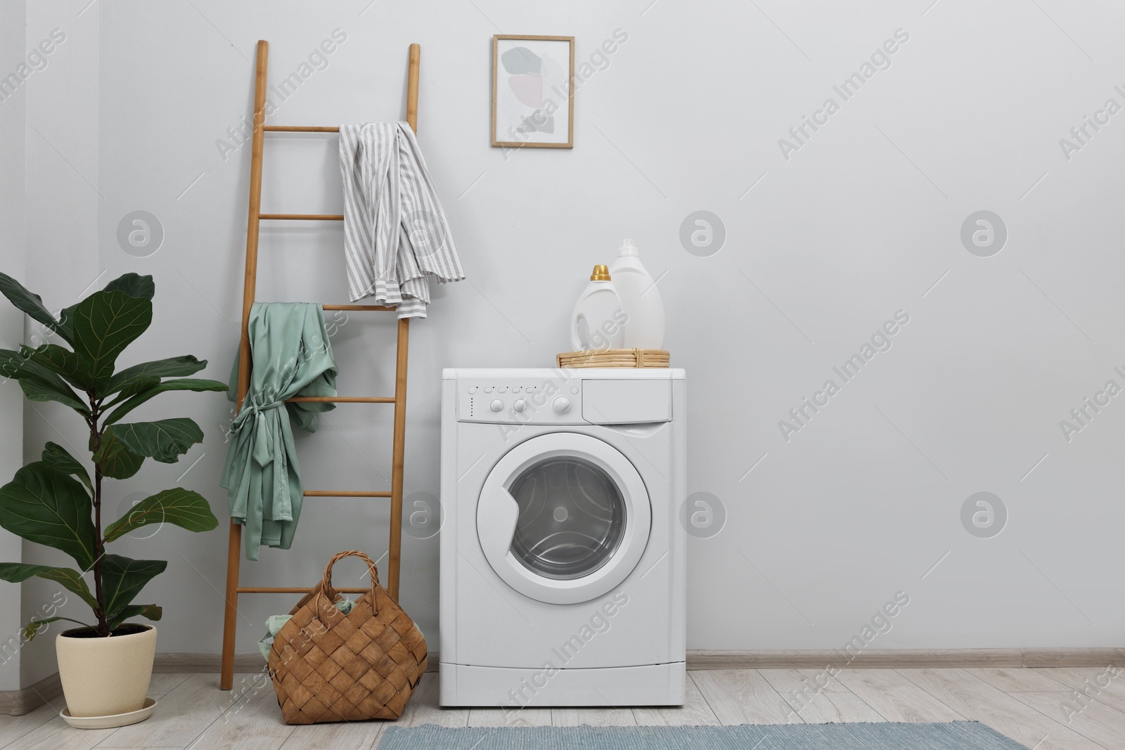 Photo of Washing machine, detergents, houseplant and ladder in laundry room, space for text