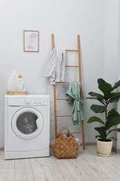 Photo of Washing machine, detergents, houseplant and ladder in laundry room