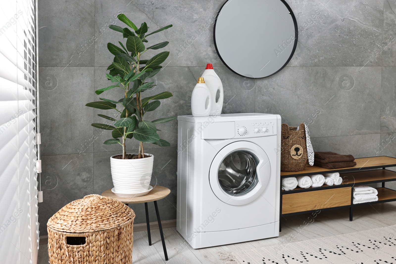 Photo of Washing machine, detergents, houseplant, baskets and storage cabinet in laundry room