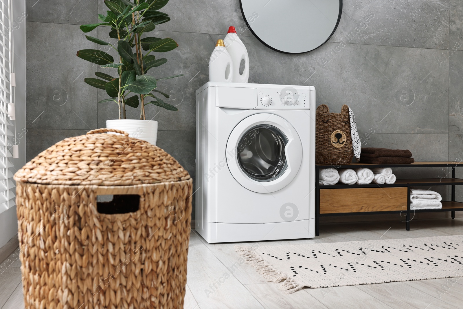 Photo of Washing machine, detergents, houseplant, baskets and storage cabinet in laundry room