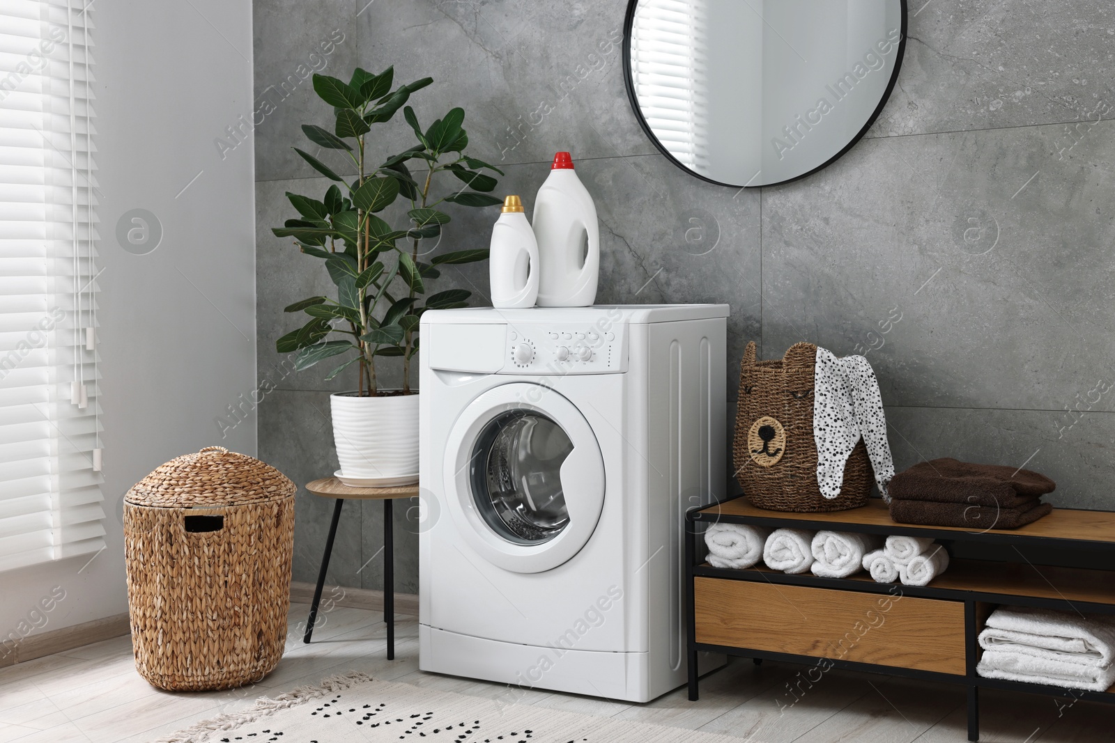 Photo of Washing machine, detergents, houseplant, baskets and storage cabinet in laundry room