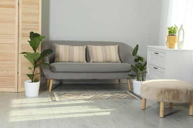 Photo of Wooden folding screen, sofa and houseplants in living room