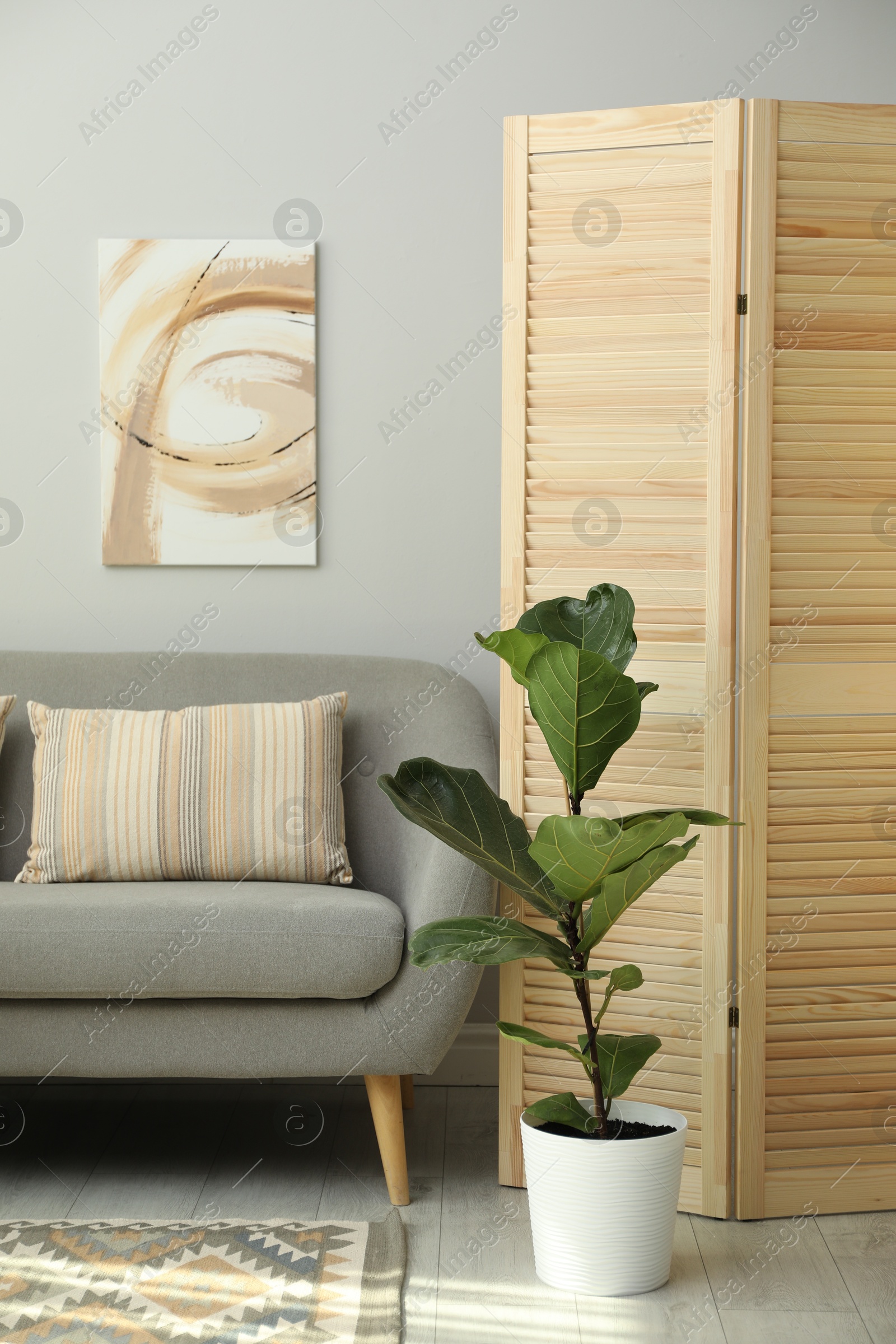 Photo of Wooden folding screen, sofa and houseplant in living room