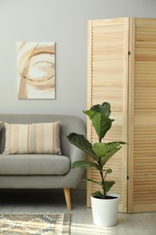 Photo of Wooden folding screen, sofa and houseplant in living room