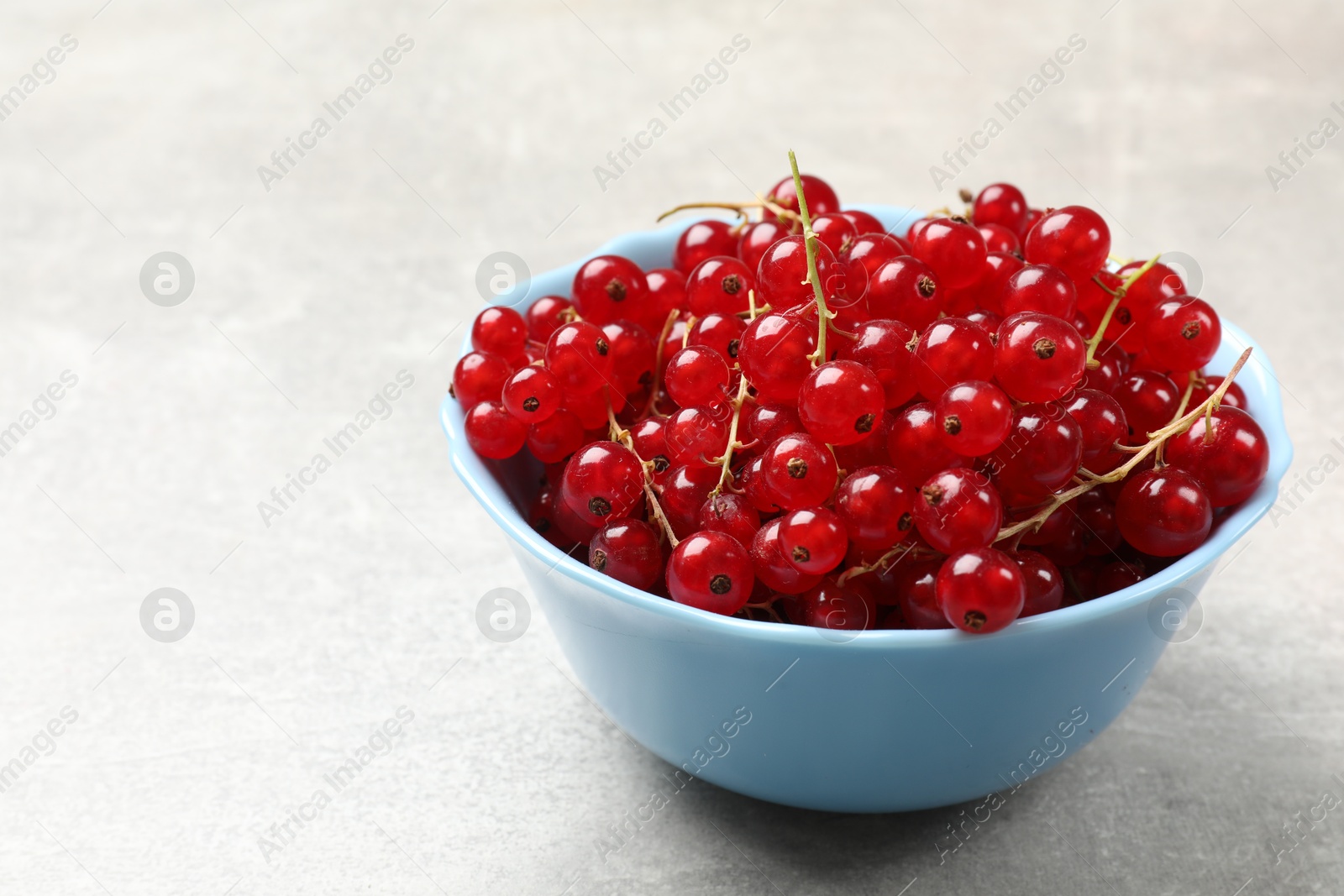 Photo of Fresh red currants in bowl on light grey table, closeup. Space for text