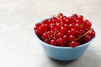 Photo of Fresh red currants in bowl on light grey table, closeup. Space for text