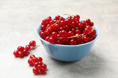 Photo of Fresh red currants in bowl on light grey table