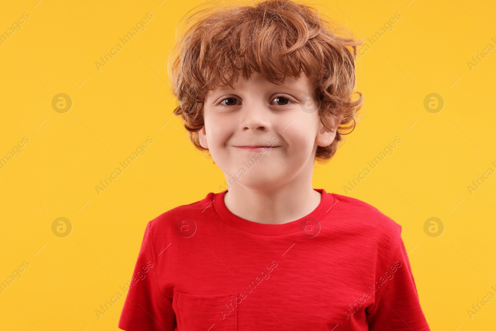 Photo of Portrait of cute little boy on orange background