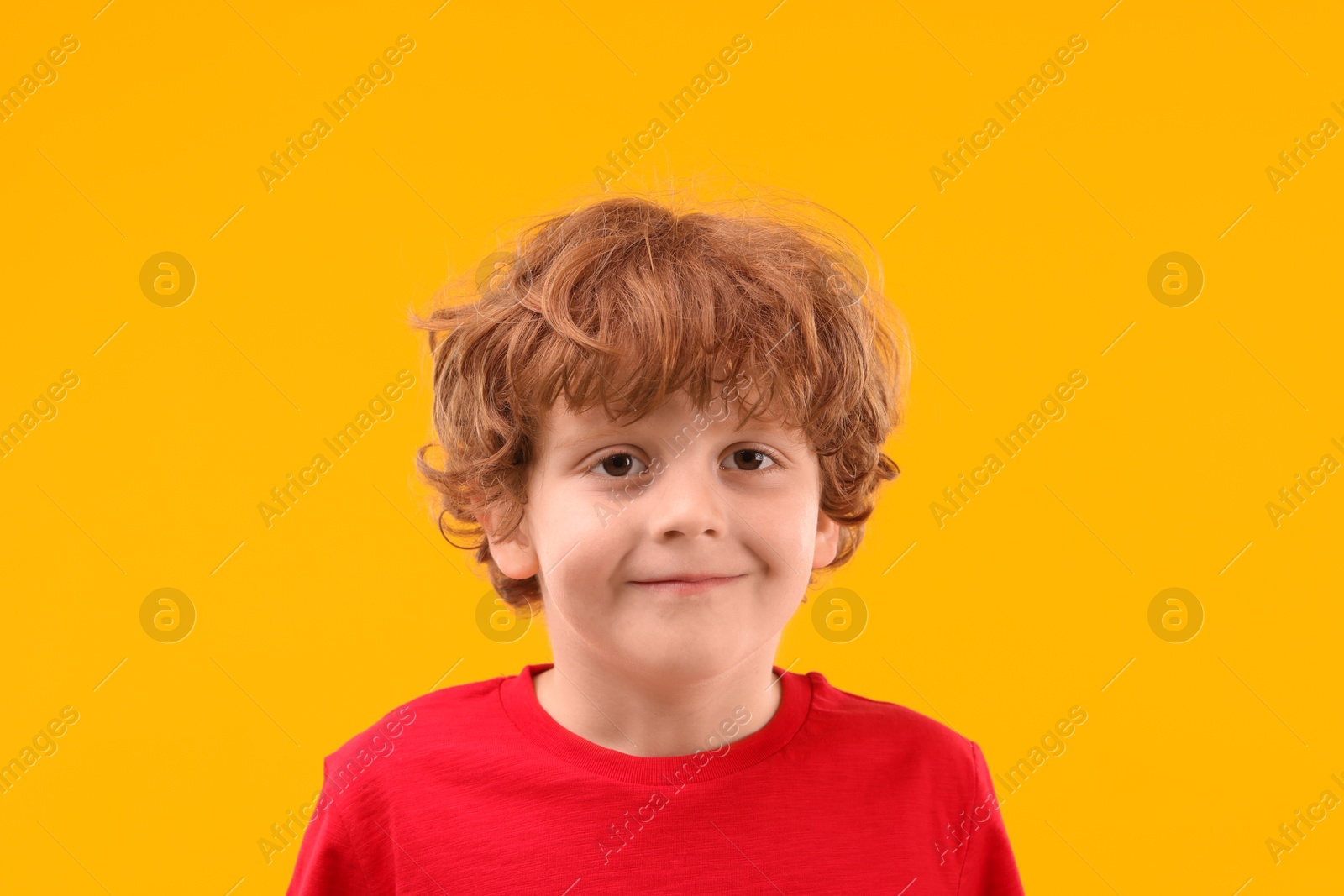 Photo of Portrait of cute little boy on orange background