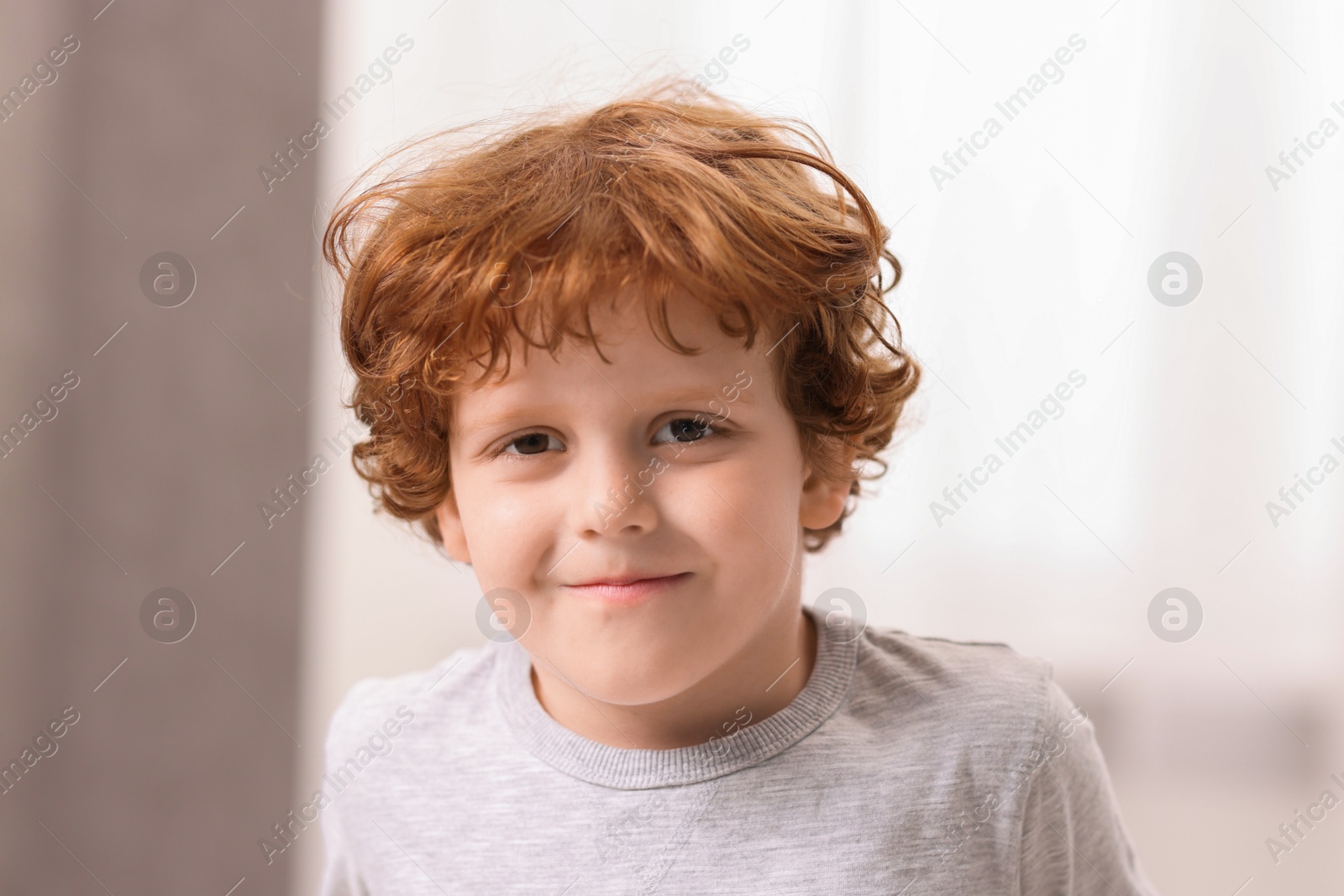 Photo of Portrait of little boy indoors, closeup. Cute child