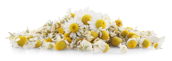 Pile of dry and fresh chamomile flowers isolated on white