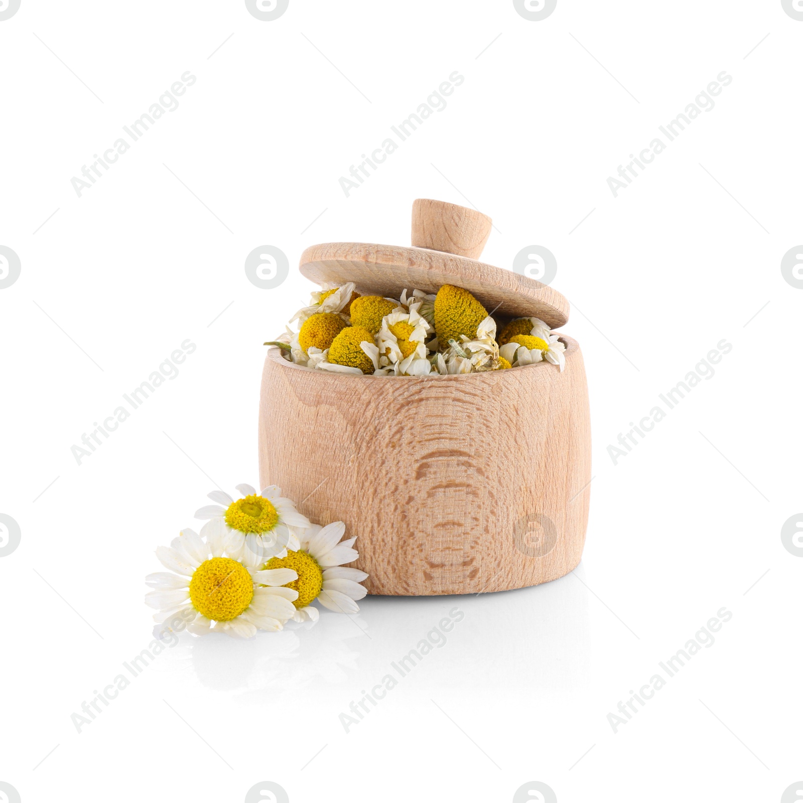 Photo of Fresh and dry chamomile flowers in wooden bowl isolated on white