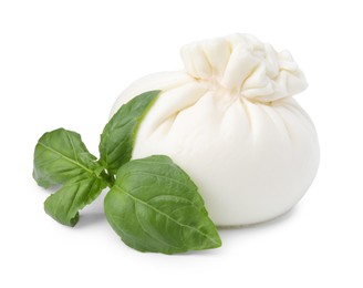 Photo of Fresh delicious burrata cheese and basil isolated on white