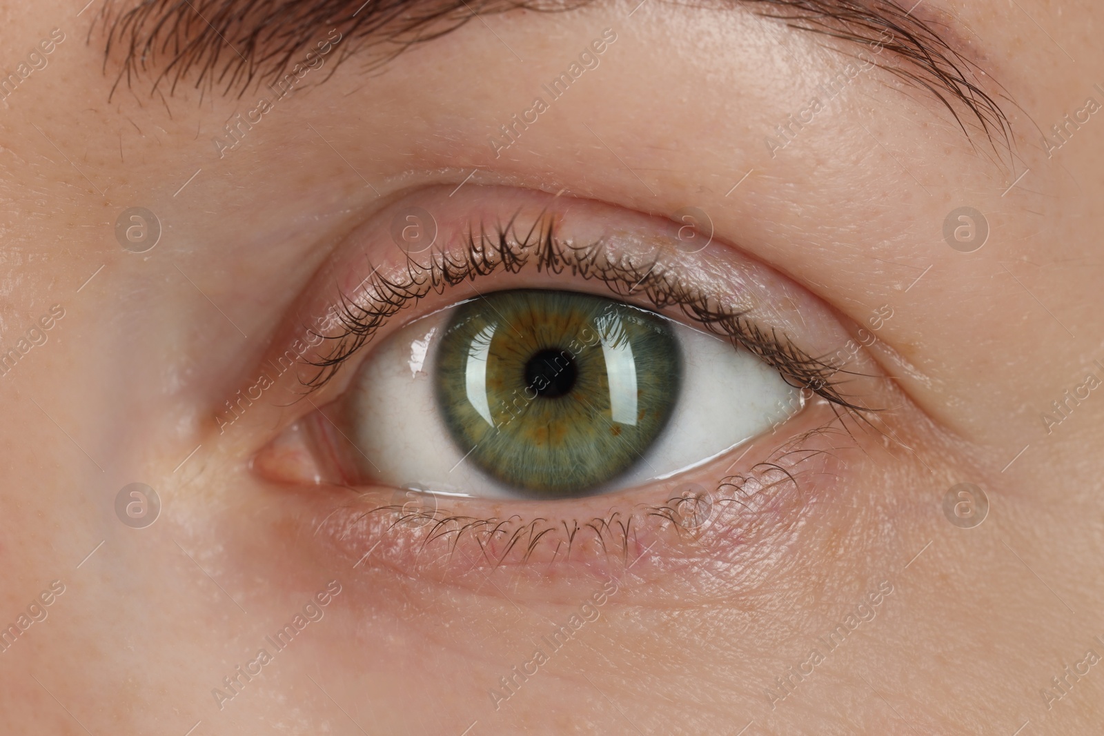 Photo of Macro photo of woman with beautiful green eyes