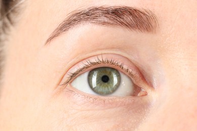 Photo of Macro photo of woman with beautiful green eyes