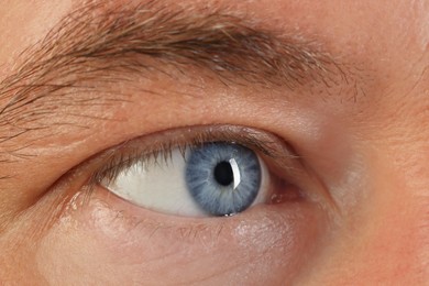 Photo of Macro photo of man with beautiful blue eyes
