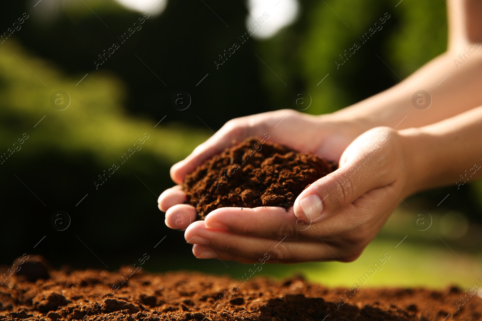 Photo of Woman holding pile of soil outdoors, closeup. Space for text