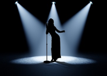 Image of Silhouette of singer on stage in spotlights